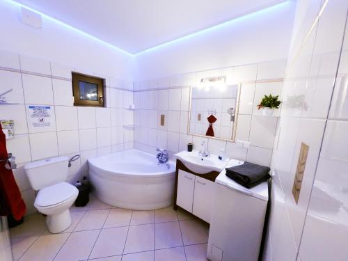 LubowidzAgroturystyka Siedlisko的白色的浴室设有卫生间和水槽。