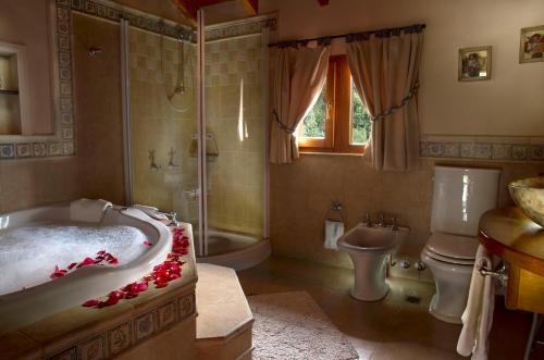 圣卡洛斯-德巴里洛切Bungalows Buena Vista的带浴缸、卫生间和淋浴的浴室。
