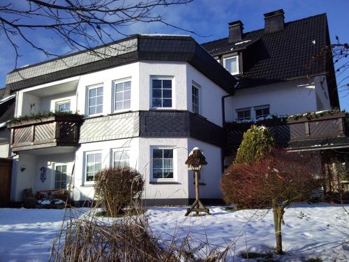 温特贝格录格 - 温特贝格宾馆的雪中带黑色屋顶的白色房子