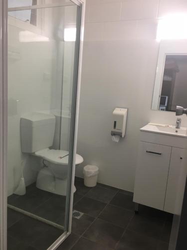 NarrominePeppercorn motor inn的一间带卫生间和玻璃淋浴间的浴室