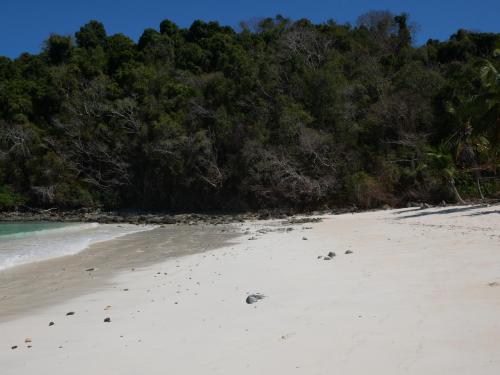 贝岛Le Zahir de l'ile - Iranja的一片树木成荫的白色沙滩
