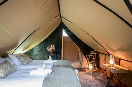 侯斯普瑞特Bundox Explorer Camp的帐篷内一间卧室,配有一张床