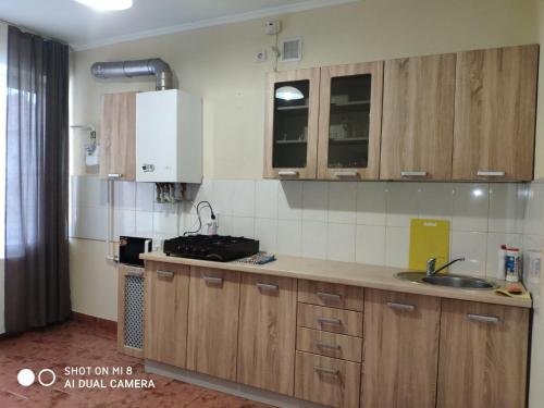 穆卡切沃Apartments Domovik "Elegance"的一个带木制橱柜和水槽的厨房