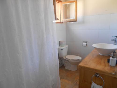 拉塞雷纳El Arbol Hostel的浴室配有水槽和带浴帘的卫生间