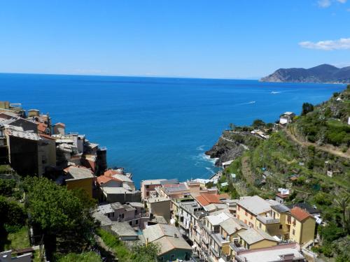 马纳罗拉ARIA DI MARE, Manarola - Appartamento THE VIEW的山丘上的城镇,以海洋为背景