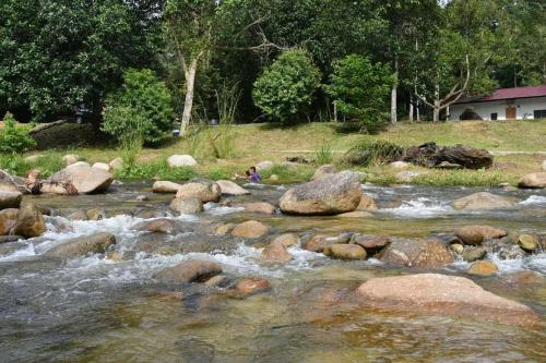 居林Lubok Jong Riverside, Sedim的一条河,河上有岩石,人坐在岩石上