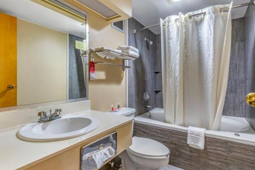 南派恩斯南派恩斯伊克诺套房旅店的一间带水槽、卫生间和淋浴的浴室