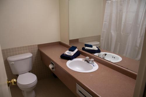 萨尼亚Residence & Conference Centre - Sarnia的一间带水槽、卫生间和镜子的浴室