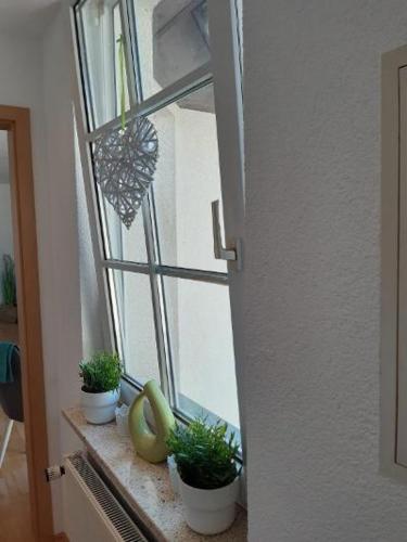 ZschopauFerienwohnung Salzmannhaus的窗台上装有盆栽植物的窗户