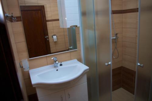 特伦钦温泉镇维拉安娜酒店的浴室配有盥洗盆和带镜子的淋浴