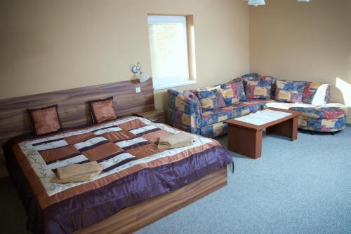 特伦钦温泉镇维拉安娜酒店的一间卧室配有一张床和一张沙发