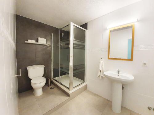 马德里阿利坎特旅馆的带淋浴、卫生间和盥洗盆的浴室