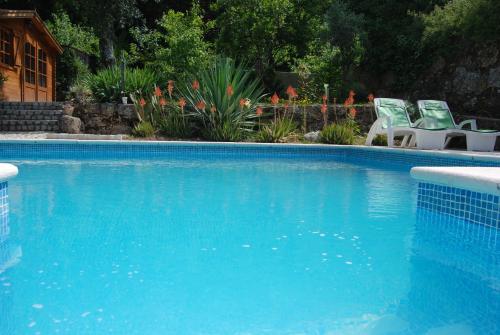 Quinta das Murteiras内部或周边的泳池
