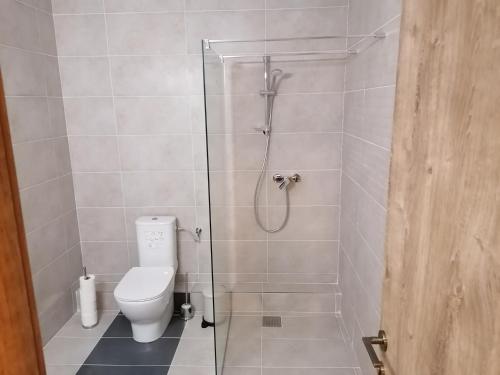 普雷代亚尔Vila Cedra的带淋浴和卫生间的浴室。