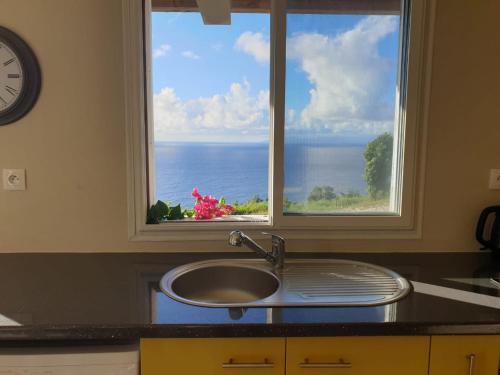 BeauregardHabitation Noelesse的带水槽的厨房台面和窗户