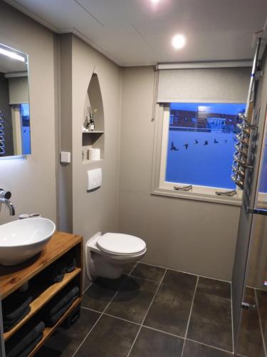 登海尔德WadLeuk!的一间带卫生间、水槽和窗户的浴室