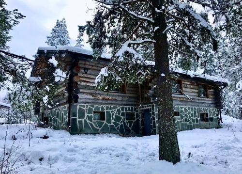 基蒂莱Kelogornitsa的雪地里的小木屋,有树