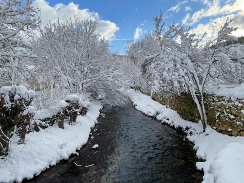 CovaneraHotel Rural Aguazul的一条有雪覆盖树木的河