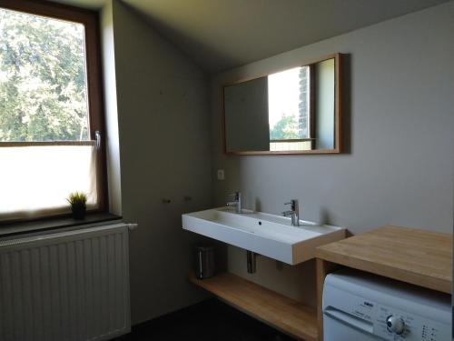 拉罗什-阿登Ardennature vakantiehuizen met privé-sauna的一间带白色水槽和窗户的浴室
