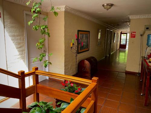 巴尼奥斯Hotel Volcano Baños的客厅配有长凳和一些植物