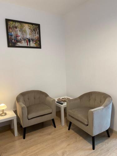 蒂米什瓦拉Take Timisoara Apartment的客厅配有2把椅子和桌子