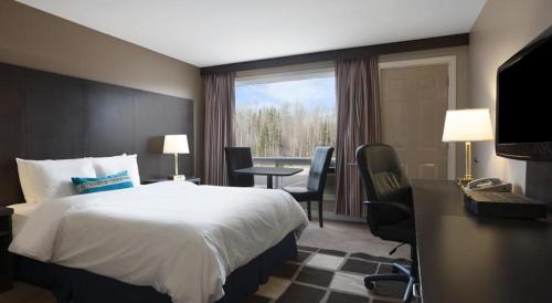 卡普斯卡辛卡普斯卡辛旅馆的配有一张床、一张书桌和一扇窗户的酒店客房