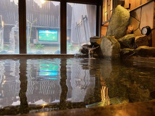 东京多美迎秋叶原酒店的带电视的房间里的一个水池