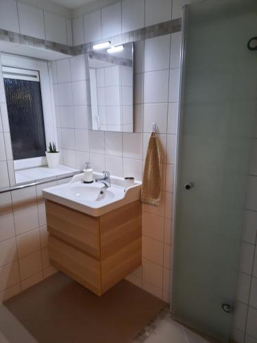 马格德堡Kleines Zuhause的一间带水槽、镜子和淋浴的浴室