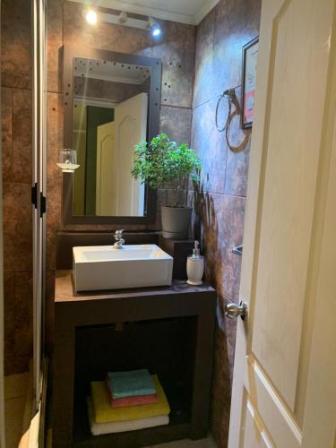 阿尔加罗沃180格拉多精品旅馆的一间带水槽和镜子的浴室