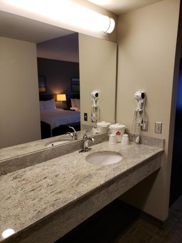 温尼伯加拿德健康科学中心酒店的一间带水槽和大镜子的浴室