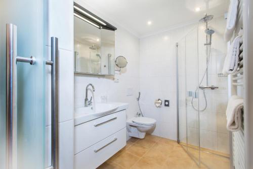 滨湖采尔努波斯特酒店 - 公寓的一间带水槽、卫生间和淋浴的浴室