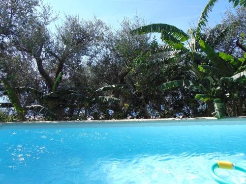 普莱伊亚诺贝拉维斯塔别墅酒店的一个蓝色的海水和树木的游泳池