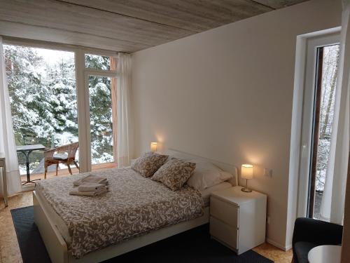 SlatiňanyPenzion Kůlna的一间卧室设有一张床和一个大窗户