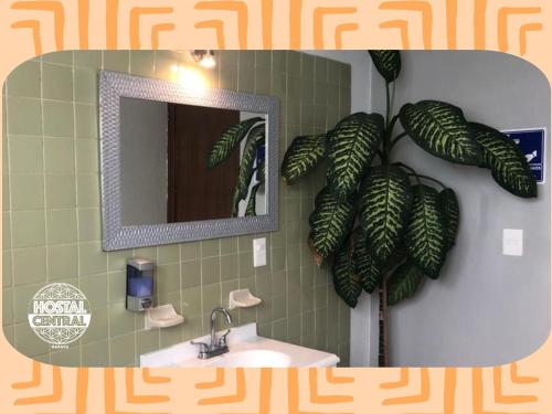 瓦哈卡市Hostal Central Oaxaca的浴室设有镜子、水槽和植物