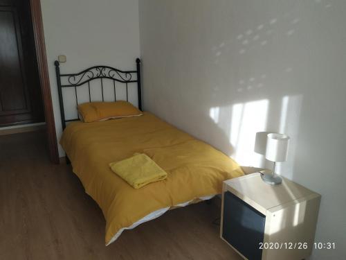 巴利亚多利德Apartamento TISARE wifi的一间卧室配有一张带黄毯的床和一台电视。