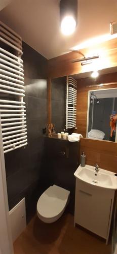塔尔努夫Old Town的浴室配有白色卫生间和盥洗盆。