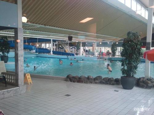 坎珀兰Ostrea 14 Roompot beach resort Kamperland的一座大型游泳池,里面的人都沉浸在水中