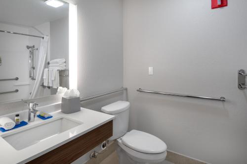 阿林顿阿林顿20号州际公路公园广场智选假日酒店的浴室配有白色卫生间和盥洗盆。