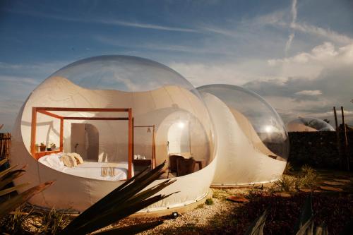 Green Land Bubble Glamping By Mint