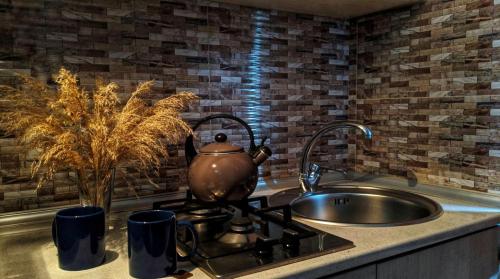 博尔若米Borjomi Cottages的厨房里炉灶上方的茶壶