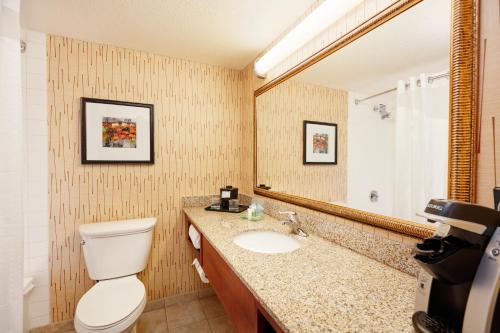 厄兰格辛辛那提机场假日酒店的一间带卫生间、水槽和镜子的浴室