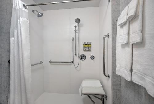 Holiday Inn Express - Milwaukee Downtown, an IHG Hotel的一间浴室