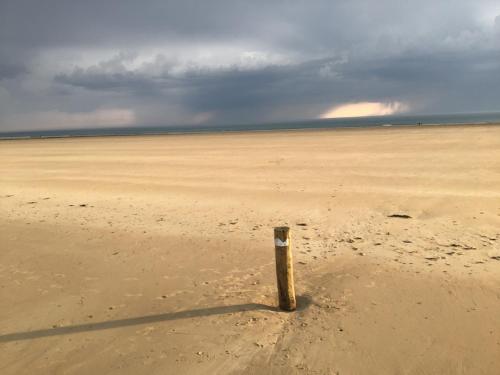 波尔特拜Aux 13 Arches的海滩上一根从沙子中伸出来的杆子