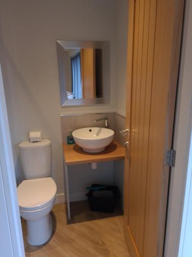 WilpshireDean Clough Lodge - Contemporary self contained studio的浴室配有白色卫生间和盥洗盆。