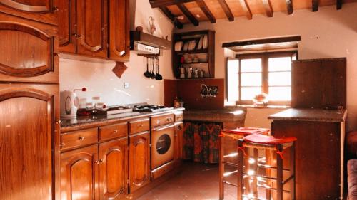 塞吉阿诺贾尔迪诺波腾提诺公寓的厨房配有木制橱柜和炉灶烤箱。