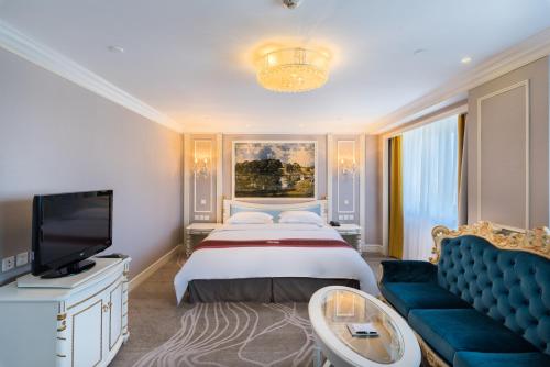 天津天津金泽大酒店的一间卧室配有一张床、一张沙发和一台电视。