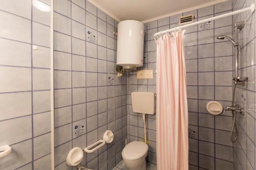 圣玛格丽塔波尔勒港La Zattera的蓝色瓷砖浴室设有卫生间和淋浴。