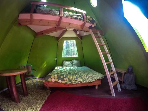Noisy-sur-ÉcoleLes Bulles de la Maison du Rocher的一间位于绿色客房内的带双层床的卧室