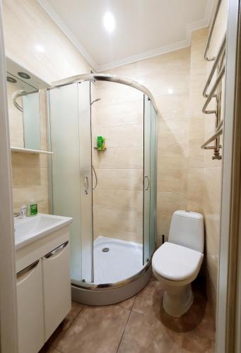 利沃夫Homey apartment on Vicheva Str.的带淋浴、卫生间和盥洗盆的浴室