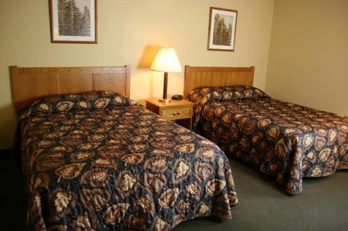 威尔森实惠套房酒店客房内的一张或多张床位